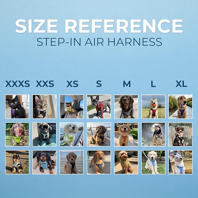 Best Pet Supplies Voyager Step-in Air Harness - All Weather Mesh, Reflective, No Pull Harness for Dogs, Cats - Secure with Hook & Loop Fastener, Buckle, Double D-Rings - Purple/Black Trim, M