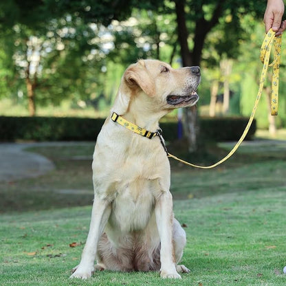 Dog Collar Leash Set, Busy Bee Pattern, 5ft Matching Leash, Polyester Material, 4 for Small Medium Large Dogs.(XS, Bee)