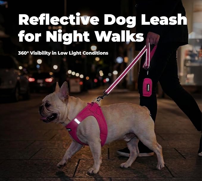 Best Pet Supplies Voyager Reflective Dog Leash or Collar with Neoprene Handle, for Small, Medium, and Large Breed Puppies, Cute and Heavy Duty for Walking, Running and Training - Fuchsia (Leash), M