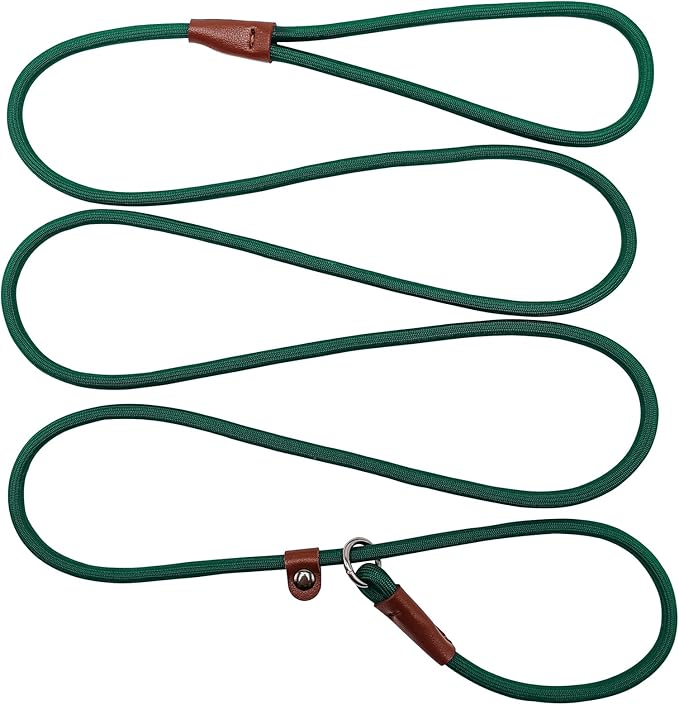 BTINESFUL 7FT Slip Lead Dog Leash, 1/4 inch Lightweight Nylon Rope Leash, No-Pull Training Lead for Small Medium Dogs, Dark Green