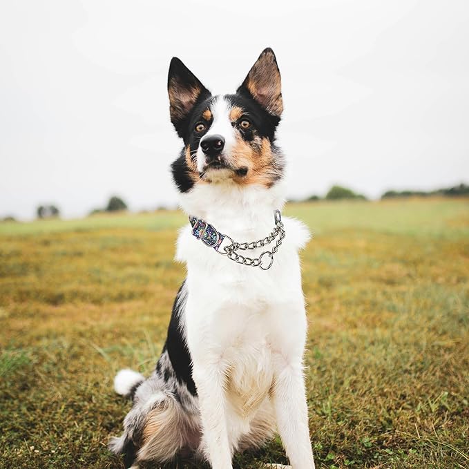 Martingale Collar for Dogs with Chain,Adjustable Nylon Floral Slip No Pull Training Dog Collars for Medium, Large & XL Dogs(Floral M)