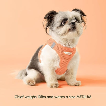 Downtown Pet Supply Step in Dog Harness for Large Dogs - Adjustable, Escape Proof Dog Harness with Reflective Trim - All-Weather, Fast-Drying Padded Mesh Fabric - Tangerine, X-Small
