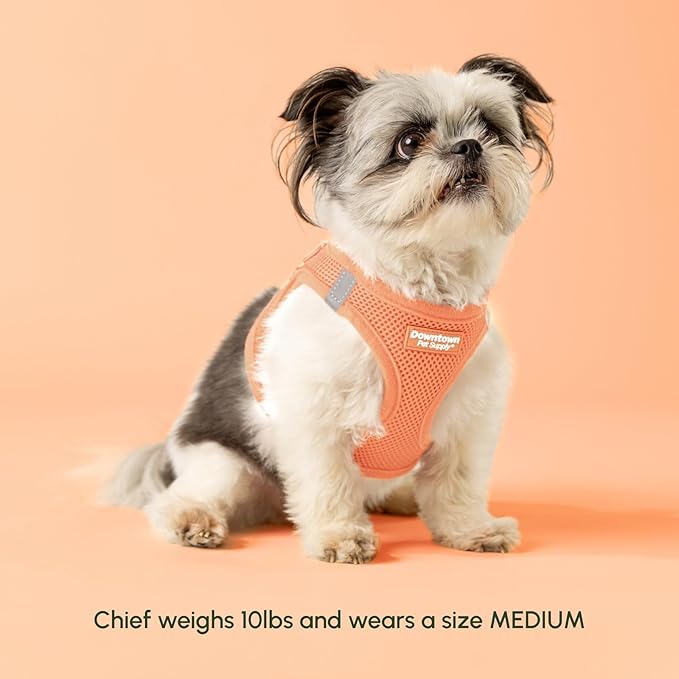 Downtown Pet Supply Step in Dog Harness for Large Dogs - Adjustable, Escape Proof Dog Harness with Reflective Trim - All-Weather, Fast-Drying Padded Mesh Fabric - Tangerine, Medium