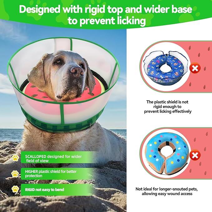Upgraded Inflatable Dog Cone Collar with Transparent Anti-Licking Shield, Adjustable Elizabethan Collar for Medium Large Dogs, 2-in-1 Design with Detachable Shield and Soft Padding (XL, Watermelon)