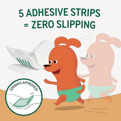 PAWPANG Disposable Dog Diaper Liners Booster Pads for Male & Female Dogs, 100ct, 5 Sizes Options, Doggie Diaper Inserts fit Most Types of Dog Diapers - Pet Belly Bands & Male Wraps (Medium(100ct))