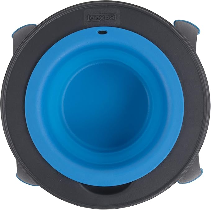 Dexas Pets Single Elevated Pet Feeder/Pet Bowl, I.5 Cup Capacity, Pro Blue, Small