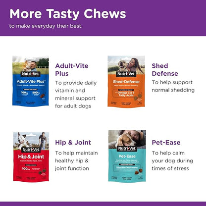 Nutri-Vet Probiotics for Dogs, Dog Probiotics for Digestive Health, Puppy Probiotics, Promotes Healthy Immune System & Gut Health, Vet Formulated, Puppy Supplies, 60 Count Capsules