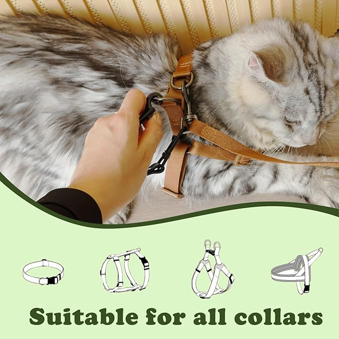 Dog Safety Clip for Prong Collar, Waterproof Leash Backup Clip Connector, Dual Clasps Rotating Buckle for Pinch Collar (1 Pcs)