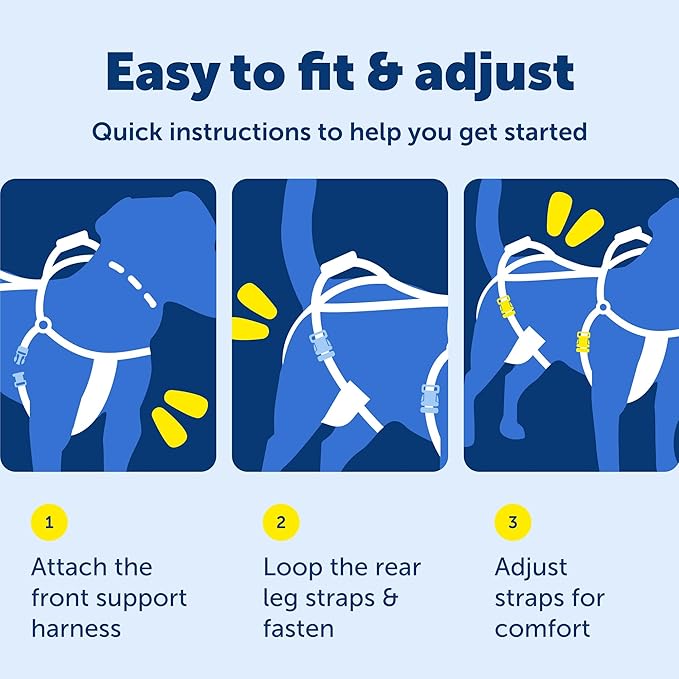 PetSafe CareLift Support Harness - Lifting Aid for Senior or Injured Dogs - Breathable Mesh - Machine Washable - Post-Surgery Dog Support - Small