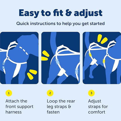 PetSafe CareLift Support Harness - Lifting Aid for Senior or Injured Dogs - Breathable Mesh - Machine Washable - Post-Surgery Dog Support - Small