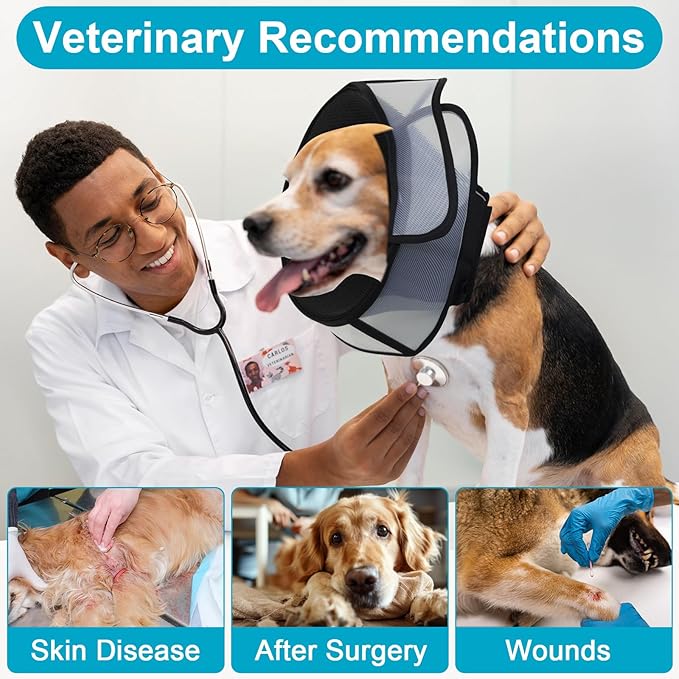 Soft Elizabethan Dog Cone Collar for Large, Medium & Small Dogs - Adjustable Recovery Collar for Post-Surgery, Wound Protection & Licking Prevention - Lightweight Pet Cone Alternative（Black,M）