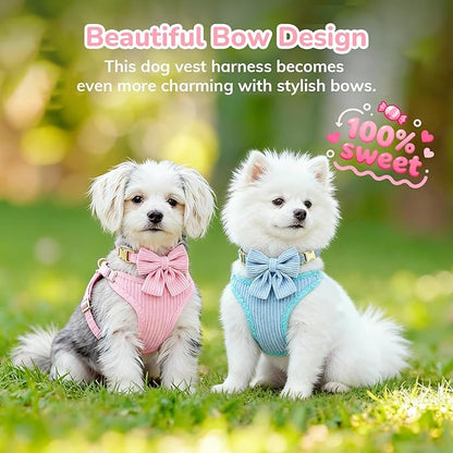 Small Dog Collar Harness and Leash Set, Dog Harness no Pull with Bowtie, Breathable Cotton Adjustable Pet Puppy Harness, Easy Walk Dog Harness, M(16-21")