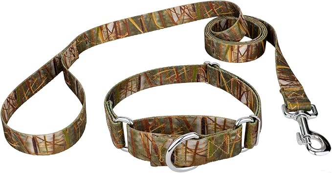 Country Brook Petz - Waterfowl Camo Martingale Dog Collar and Leash - Camouflage Collection Featuring Rugged Designs (1 Inch, Medium)