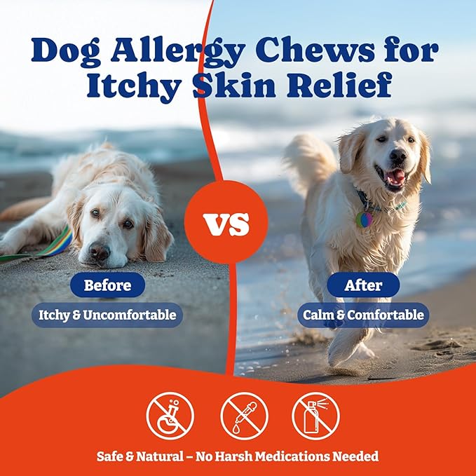 Dog Allergy Relief Chews – 70 Soft Chews, Salmon & Blueberry Flavor - Immune Support & Itch Relief with Colostrum, Astragalus Root, 6-Strain Gut Health Blend