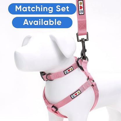 Pawtitas Solid 6 ft Millennial Pink Dog Leash XS/S Custom Name and Phone Embroidery Strong Nylon Leash for Small Breeds