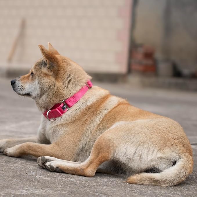 Hyhug Martingale Collar for Dogs Large Pink |Escape - Proof Heavy Duty Nylon Durable No Pull, Ideal for Training & Daily Walks