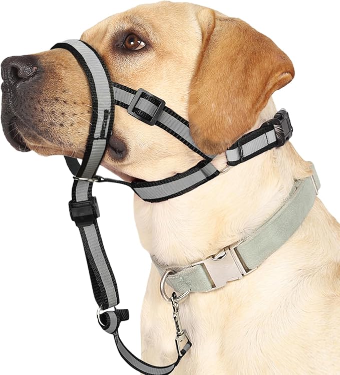 BARKLESS Reflective Head Collar, No Pull Collar for Medium Large Small Dogs, Anti-Pull Muzzle Leash for Medium Sized Breed, Adjustable Soft Dog Halter, Nose Leash for Easy Control on Walks