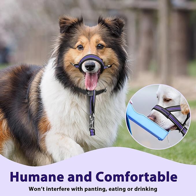 BARKLESS Soft Dog Head Collar, Patented Padded No Pull Head Halter, Training Nose Leash with Safety Link for Medium Large Dogs, Adjustable Muzzle Leash, Easy Control for Walking (M, Purple)