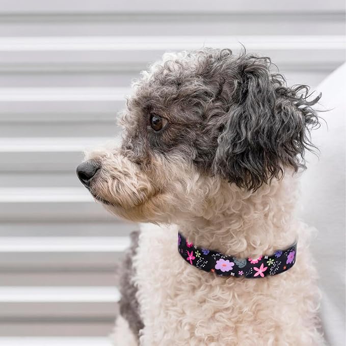 QQPETS Adjustable Soft Dog Collar: Print Flower Pink Multicolor Cute Patterns for XS Small Medium Large Pet Girl Boy Puppy Walking Running Training