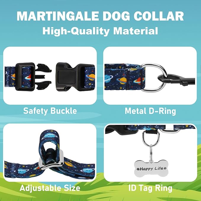 Martingale Dog Collars with Buckle No Slip Training Boy Dog Collar for Large Dogs (Blue Space, Large)