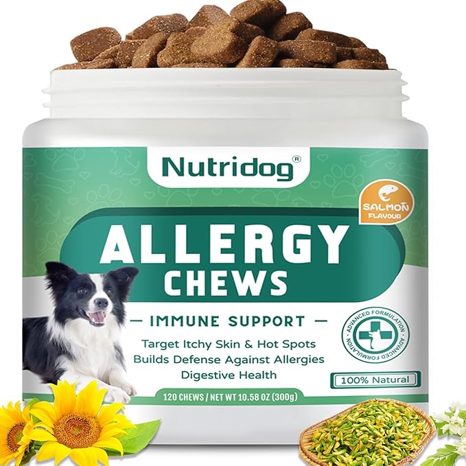 Dog Allergy Chews 120 Count - Salmon Flavor Allergy & Itch Relief with Quercetin, 300M Probiotics | Immune Support for Itchy Skin, Hot Spots & Seasonal Allergies