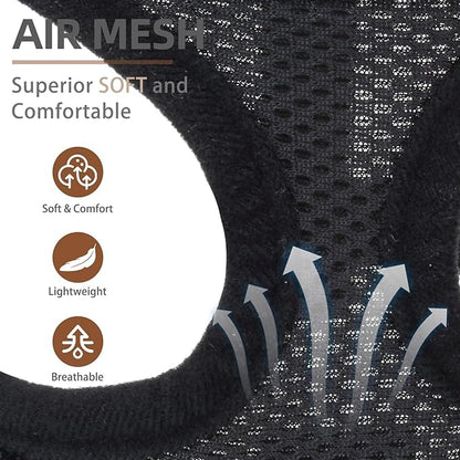 PUPTECK Soft Mesh Dog Harness and Leash Set Pet Puppy Cat Comfort Padded Vest No Pull Harnesses, Solid Black, XS