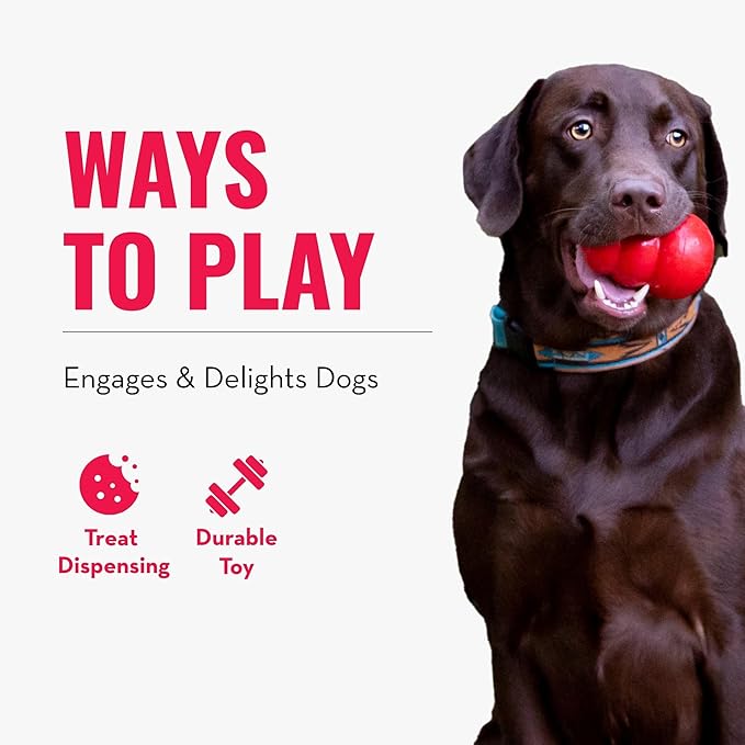 KONG - Genius Mike - Interactive Treat Dispensing Dog Puzzle Toy (Assorted Colors) (Large)
