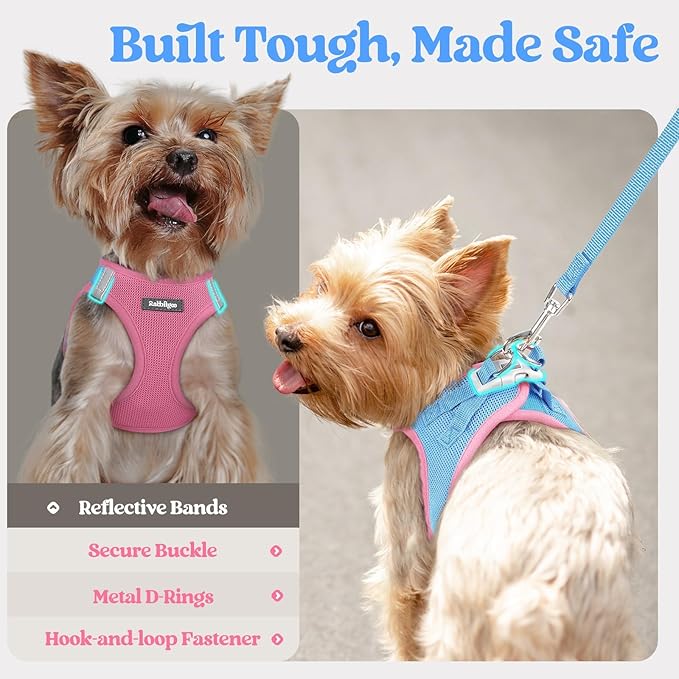 rabbitgoo Dog Harness Small Medium Sized and Leash Set, Step in Soft Light Puppy Vest, Breathable Mesh Pet Harness, Reflective for Safe Easy Walking, Blue & Light Pink L