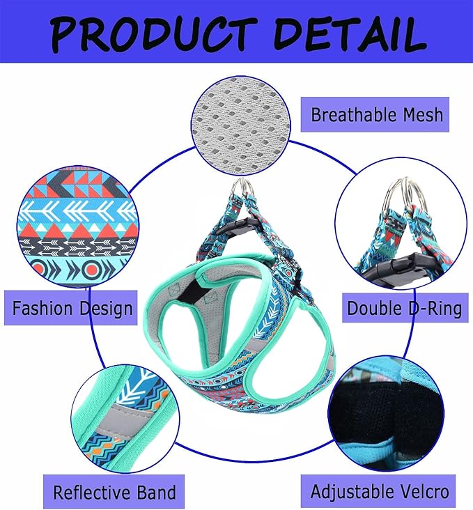 Moonpet Step in Boy Dog Harness Leash Set- All Weather Reflective No-Pull Padded Mesh Vest Harness for Cats Puppy Extra-Small Small Medium Large Dogs - Mayan Mysteries - XL