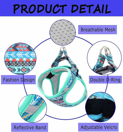 Moonpet Step in Boy Dog Harness Leash Set- All Weather Reflective No-Pull Padded Mesh Vest Harness for Cats Puppy Extra-Small Small Medium Large Dogs - Mayan Mysteries - S