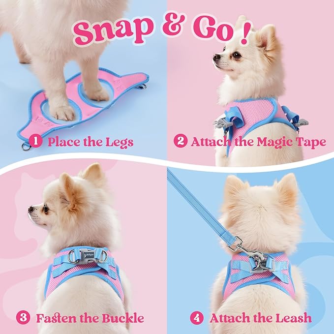 rabbitgoo Dog Harness Small Sized and Leash Set, Step-in Breathable Pet Harness, Soft Walking Reflective Puppy Vest for Small Dogs, Pink & Light Blue, M