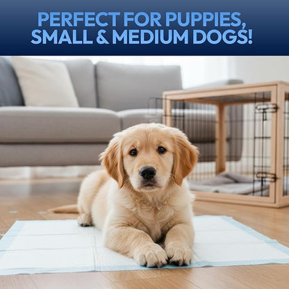 Training Pads for Dogs & Puppies, Super Absorbent, Leak-Proof Protection, Odor-Neutralizing, Disposable Puppy Pads Essentials 22"x22" 100 Count - BROOKLYN PET GEAR