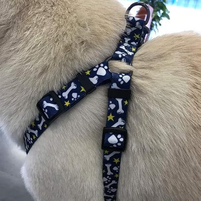 QQPETS Dog Harness Leash Set Adjustable Heavy Duty No Pull Halter Harnesses for Small Medium Large Breed Dogs Back Clip Anti-Twist Perfect for Walking (M(19"-26" Chest Girth), Bone)