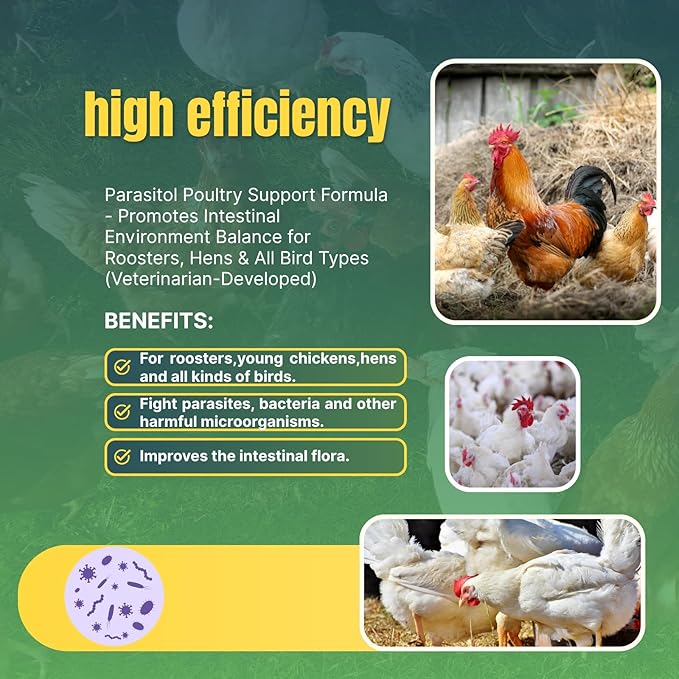 Natural Chicken Chili Mix De-Wormer Powder | 1LB | Promotes Balanced Digestive Wellness | Egg-Safe Chicken Wormer | Poultry Care for All Ages & Sizes