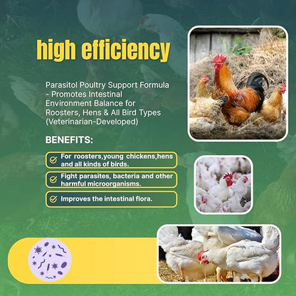 Natural Chicken Chili Mix De-Wormer Powder | 1LB | Promotes Balanced Digestive Wellness | Egg-Safe Chicken Wormer | Poultry Care for All Ages & Sizes