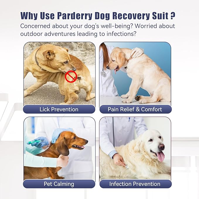 Dog Recovery Suit for Surgery Dog Onesie for Female and Male E-Collar Alternative Anti Shedding Pajamas Long Sleeve Claming Bodysuit Gray XXXL