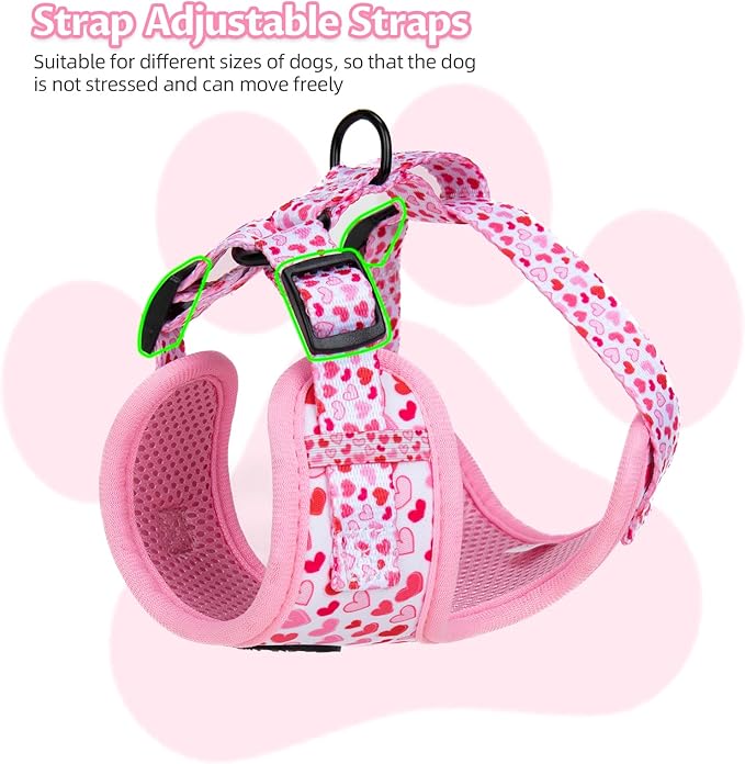 Dog Harness and Leash Set, Adjustable Dog Harness, Dog Leash, No Pull No Choke Puppy Harnesses for Walking Training for Small, Medium Pet (Little Love, L(Chest 19.6-28", Neck 15.7-21.1"))