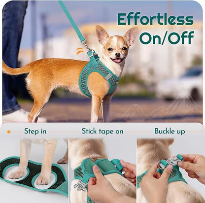 Eagloo Small Dog Harness and Leash Set, Step in Puppy Vest with Breathable Soft Mesh, Walking Reflective Pet Harness for Small Dogs, Forest Green, XS