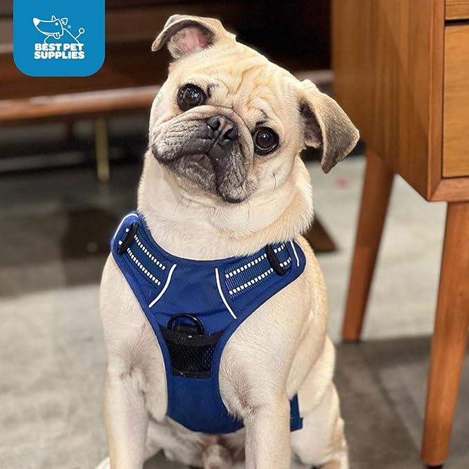 Voyager Dog Harness Dual Leash Attachment No-Pull Control Adjustable Soft but Strong Pet Harness for Medium and Large Dogs with 3M Reflective Technology, Royal Blue Lattice Nylon, XS (Chest: 13-16")
