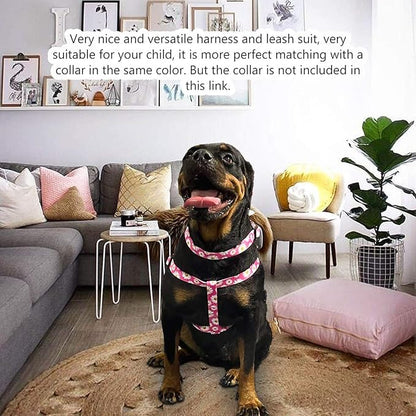 QQPETS Dog Harness Leash Set Adjustable Heavy Duty No Pull Halter Harnesses for Small Medium Large Breed Dogs Back Clip Anti-Twist Perfect for Walking (M(19"-26" Chest Girth), Daisy)
