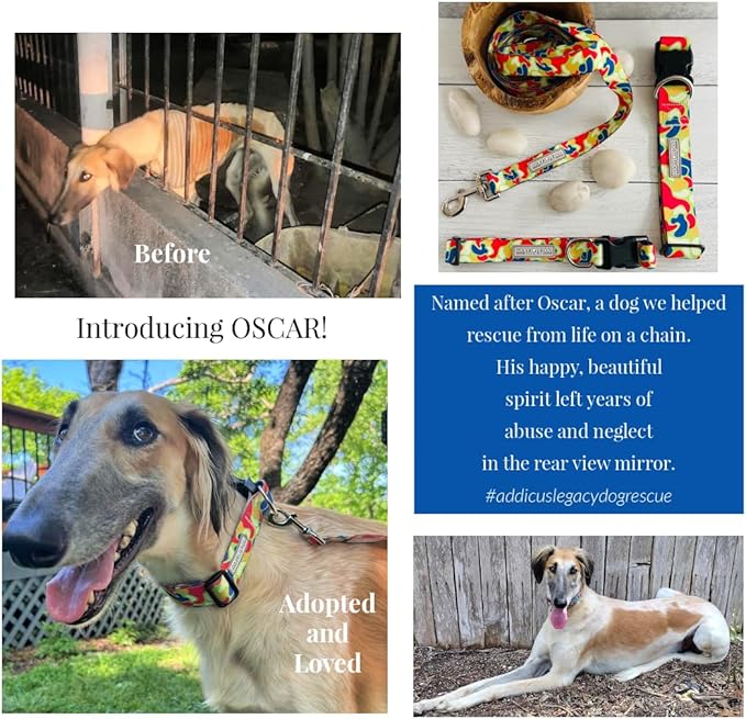 Lucky Love Dog - Adjustable Dog Collar with Easy Click Buckle for Medium Dogs, Durable, & Comfortable for Male & Female Dogs, Pet Collar for Puppies & Adult Ones - Oscar, Medium