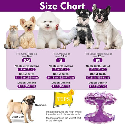 EXPAWLORER Cute Dog Harness and Leash Set - Purple Girl Dog Harness Checkered Step-in Design, Easy Adjustable No-Choke Lightweight Breathable Vest for Puppy Small Dogs Cats Outdoor Walking, X-Small