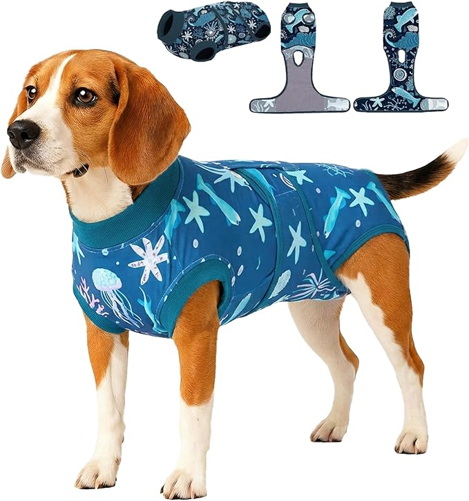 PetWarm Onesie for Dogs After Surgery, Dog Cone Alternative, Post-Op Dog Suit, Soft Onesie for Comfort and Body Protection, Recovery Bodysuit for Male or Female Dogs, Marine Animal Patterns, Blue, S