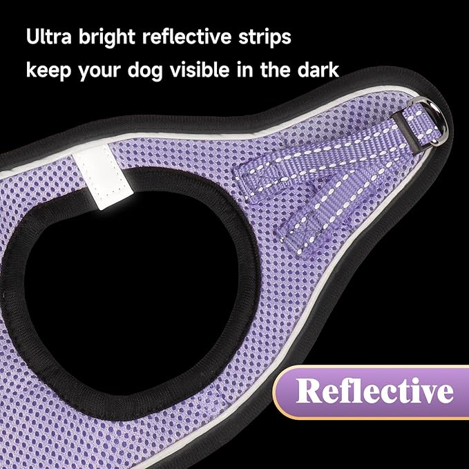 YIMEIS Dog Harness and Leash Set, No Pull Soft Mesh Pet Harness, Reflective Adjustable Puppy Vest for Small Medium Large Dogs, Cats (Taro Purple, Small (Pack of 1)