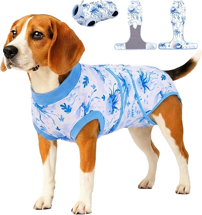PetWarm Surgery Suit for Dogs Neuter Male, Dog Surgery Suit, Cone of Shame Alternatives Bodysuit for Abdominal Affected Areas Sensitive Skin Areas, Onesies for Dogs, Marine Animal Patterns, Blue, S