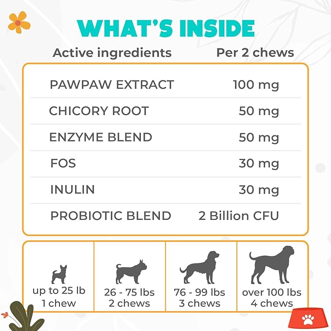 Probiotics for Dogs Chews 150 pcs - Probiotic Chews for Dogs with Enzymes & Natural Ingredients - Digestive & Gut Health Support - US Formula - Beef Flavored