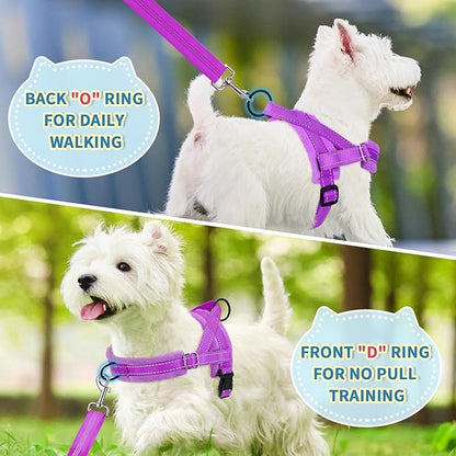 Lukovee No Pull Dog Harness and Leash Set, Soft Padded Small Dog Harness, Neck & Chest Adjustable Reflective Vest Puppy Harness with 4ft Lightweight Anti-Twist Dog Leash for Small Dogs (XS, Purple)