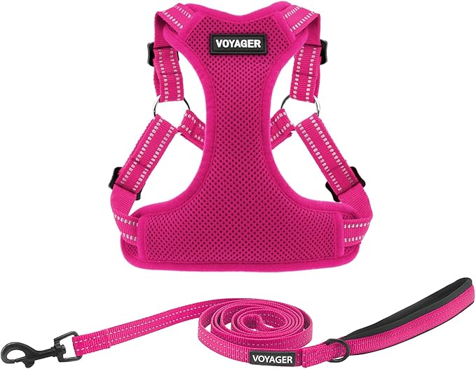 Best Pet Supplies Voyager Adjustable Step-in Flex Breathable Mesh Dog Harness for Small Medium Large Dogs Leash Set (Fuchsia), XL