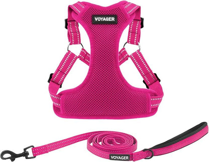 Best Pet Supplies Voyager Adjustable Step-in Flex Breathable Mesh Dog Harness for Small Medium Large Dogs Leash Set (Fuchsia), XL