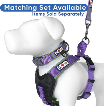 Pawtitas 6 FT Padded Dog Leash with Comfortable Neoprene Padding Handle - Purple Lead | Medium Reflective Dog Leash with Highly Reflective Band Perfect for Medium and Large Dogs and Puppies.